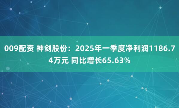009配资 神剑股份：2025年一季度净利润1186.74万元 同比增长65.63%