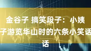 金谷子 搞笑段子：小姨子游览华山时的六条小笑话