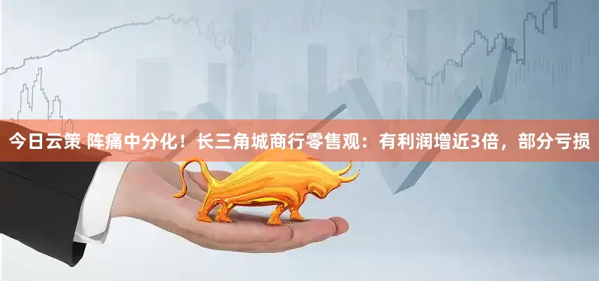 今日云策 阵痛中分化！长三角城商行零售观：有利润增近3倍，部分亏损